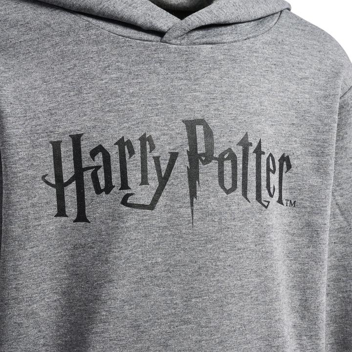 Immagine prodotto hummel Felpa con cappuccio Hmlharry Potter (104)