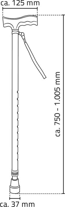Actual product image Ridder Walking stick