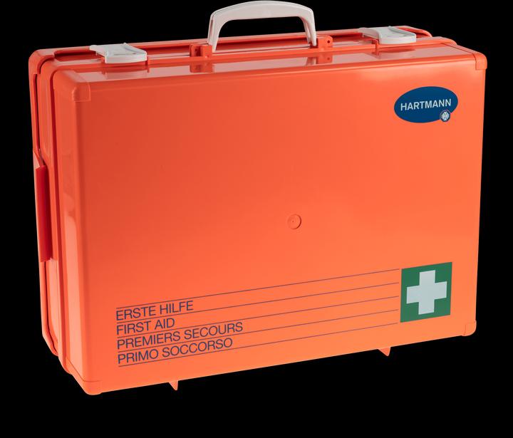 Actual product image IVF Hartmann Vario 3 (Emergency cases)