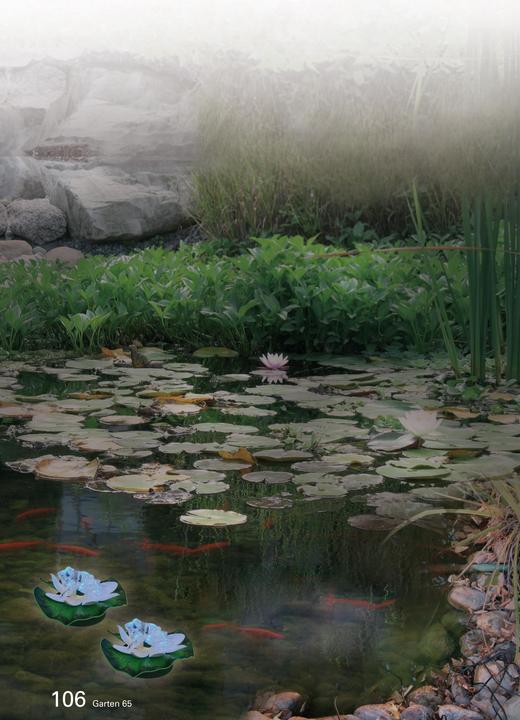 Actual product image Näve Outdoor Decorative Frog Light (Boophis ankaratra) (IP65)