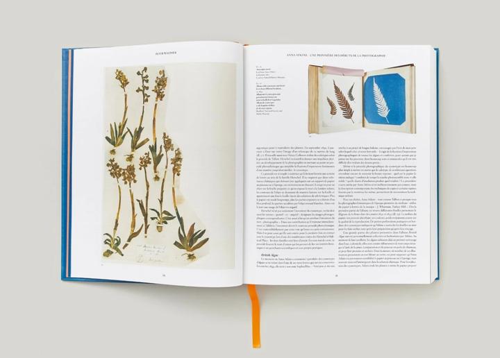Produktbild Anna Atkins. Cyanotypes (Englisch, Französisch, Deutsch, Walther, Peter, 2023)