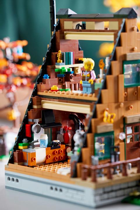 Actual product image LEGO Ideas Finn Cottage 21338 (21338, LEGO Ideas, LEGO Rare Sets)