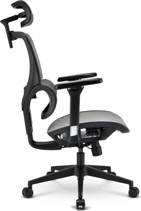 Produktbild Sharkoon OfficePal C40M