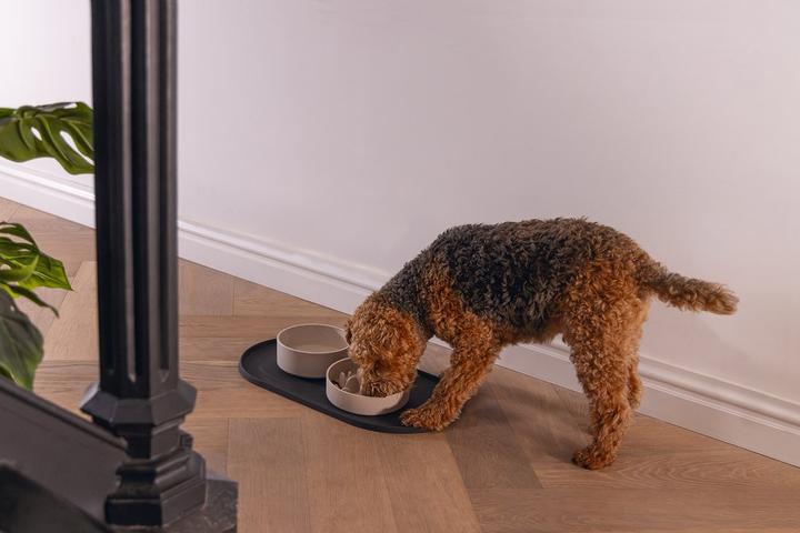 Actual product image Designed by Lotte Placemat Oona