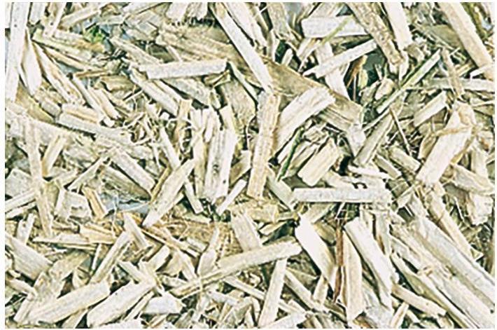 Immagine prodotto Schweizer Canatura di paglia di canapa (3 kg, Paglia)