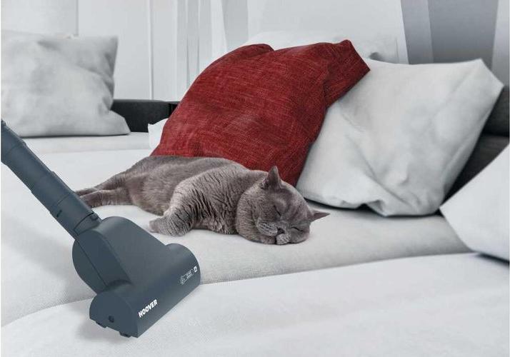 Produktbild Hoover Bodenstaubsauger TELIOS PLUS