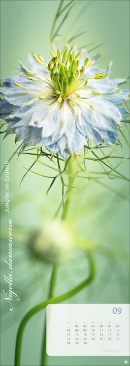 Produktbild Magic Flowers Vertical Kalender 2026 (24,5 x 69 cm, Harter Einband, Deutsch)