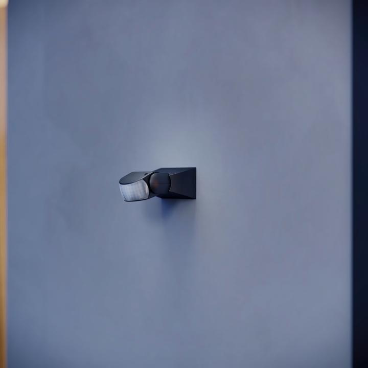 Immagine prodotto Steinel Sensore a infrarossi IS 1, nero (10 m)
