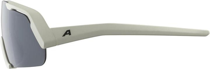 Immagine prodotto ALPINA SPORTS Rocket Youth (Grigio freddo opaco, Argento)