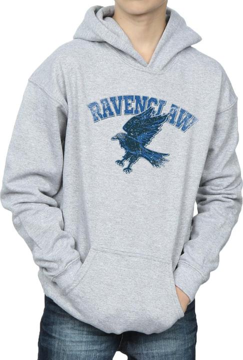 Produktbild Kapuzenpullover Jungen (140, 146)