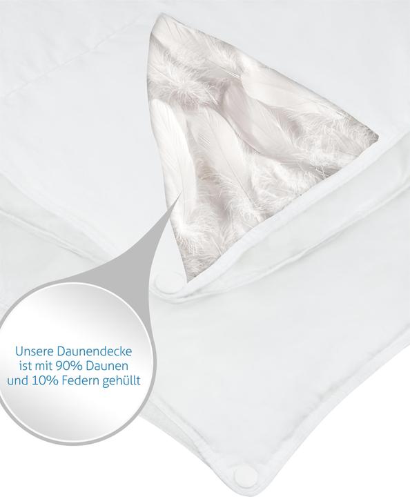 Produktbild Aspero Winter Daunendecke 2-teilig (840 g, 135 x 200 cm)