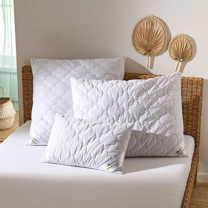 Actual product image Traumschlaf Kamelhaar Nature (70 x 90 cm)