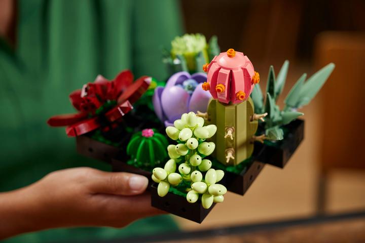 Immagine prodotto LEGO Succulente (10309, LEGO Botanical, Set LEGO rari)