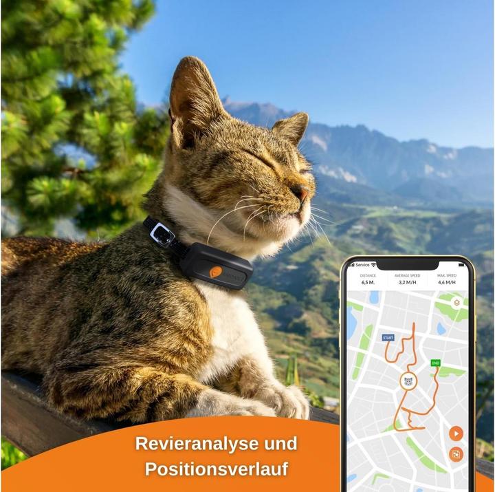 Actual product image Weenect GPS-Tracker XS für Katzen (Cat)