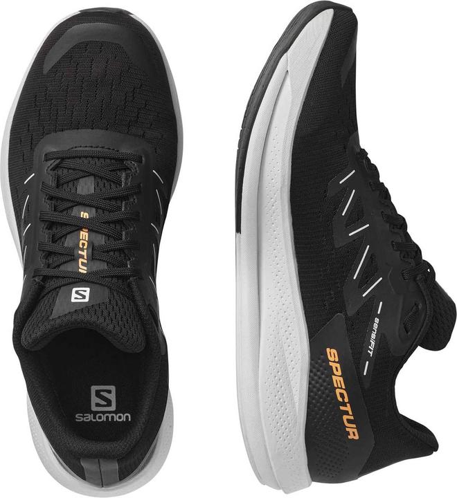 Actual product image Salomon Spectur (41 1/3)