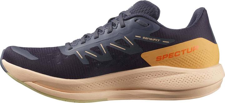 Image du produit Salomon Spectur (39 1/3)