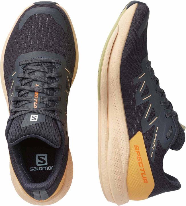 Image du produit Salomon Spectur (39 1/3)