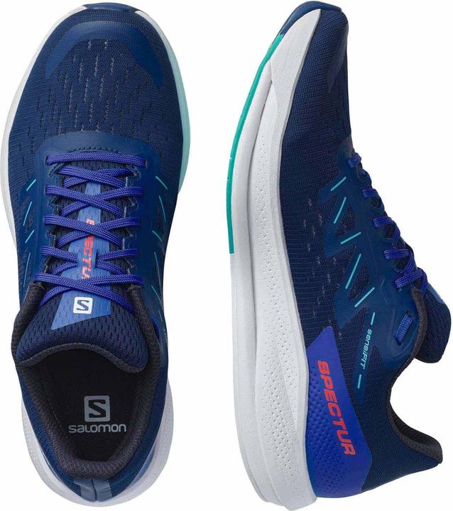 Actual product image Salomon Spectur (45 1/3)