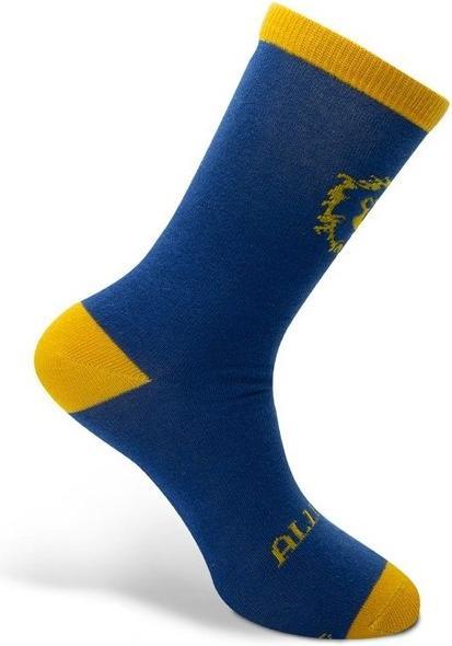 Image du produit ABYstyle WORLD OF WARCRAFT - Chaussettes - Bleu Jaune - Alliance (Une unité par pack, Taille unique)