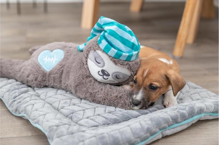 Actual product image Trixie Sloth with a heartbeat (Dog chew toy)