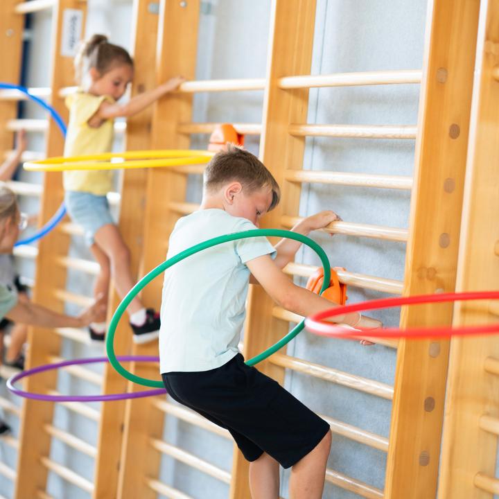 Produktbild Spordas Reifenhalter für Sprossenwände WalliBari
