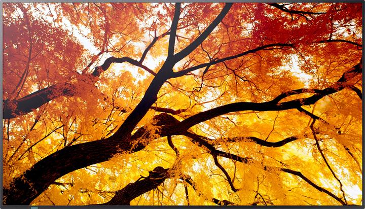 Image du produit NEC Sharp Large Format Display M552 (3840 x 2160 pixels, 55")