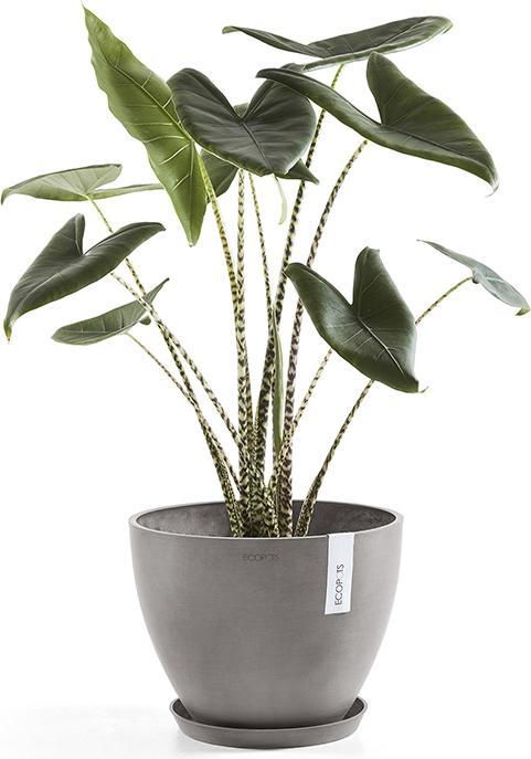 Produktbild Ecopots Saucer Round