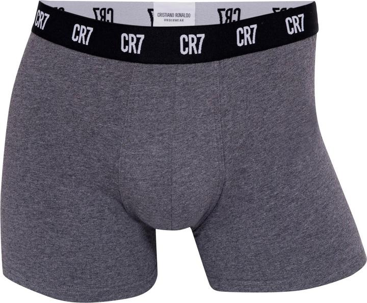 Actual product image CR7 Boxer shorts Casual Figure-hugging (L, 5-pack)