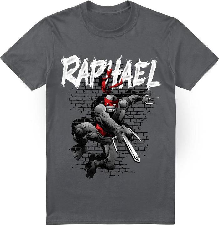 Teenage Mutant NT TShirt (XL)