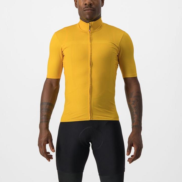 Verge d'or