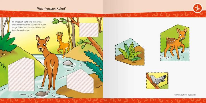 Image du produit Ravensburger Wieso? Weshalb? Warum? junior AKTIV: Im Wald (Allemand, Elke Broska, 2024)