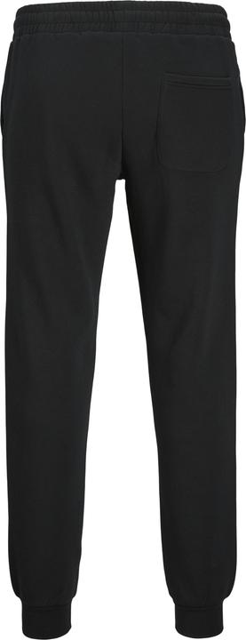 Actual product image Jack & Jones Hose mit Regular Fit Mini Hose mit Regular Fit (122)
