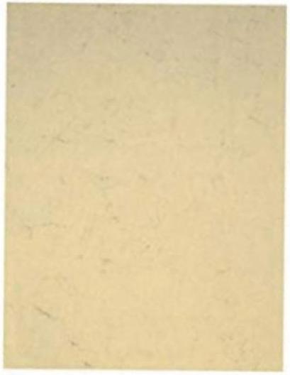 Image du produit Folia Parchemin (110 g/m², 1 x)