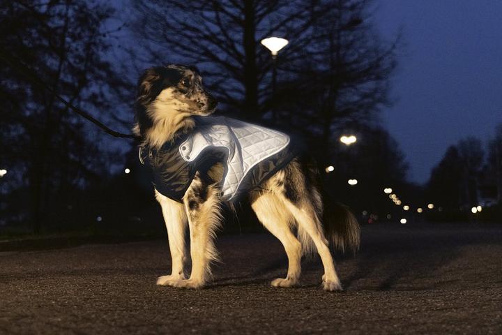 Produktbild Beeztees Allia (25, Hundemantel)