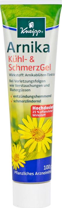 Produktbild Arnika Kühl- & SchmerzGel, 100 g Gel (1 x)