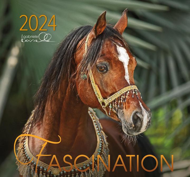 Produktbild Fascination 2024, mit 1 Beilage (Harter Einband, Deutsch, Englisch)