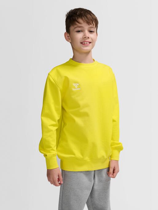 Actual product image hummel Hmlgo 2.0 Sweatshirt Kids (164)