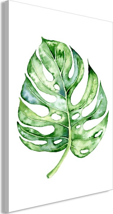 Immagine prodotto Artgeist Watercolor Monstera (1 Part) Vertical (80 x 120 cm)