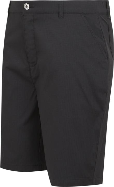 Actual product image Regatta Mens Dalry Multi Pocket Shorts (32)