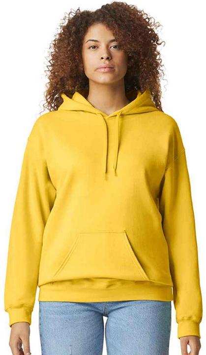 Produktbild Gildan Softstyle Kapuzenpullover (L)
