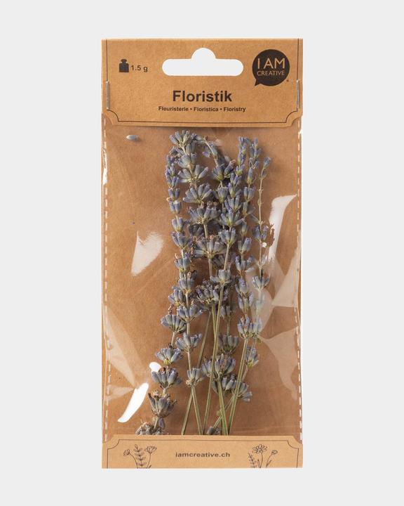 Produktbild I Am Creative Trockenblumen Lavendel (Trockenblumen)
