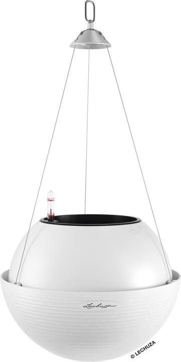 Actual product image Lechuza Bola Color 32 (32 cm)