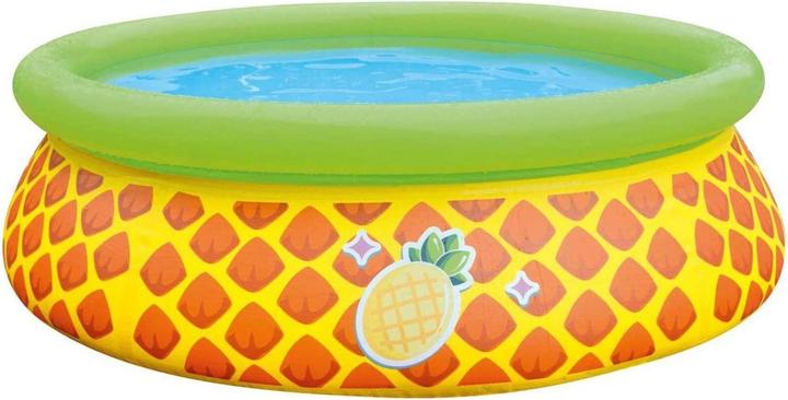 Actual product image Jilong Ananas