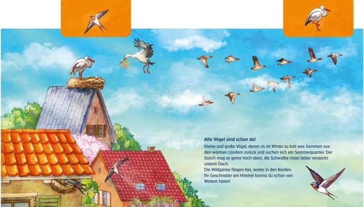 Produktbild Was machen die Tiere im Frühling? (Anna Karina Birkenstock, Deutsch)