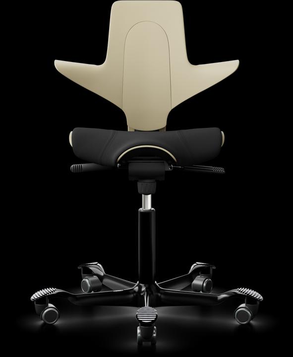 HAG Capisco Pulse 8020 XTREME