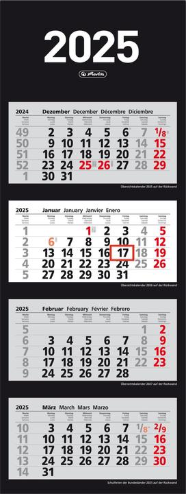 Actual product image Herlitz 4-Monats-Wandkalender (33.8 x 88.9 mm, No binding, German)