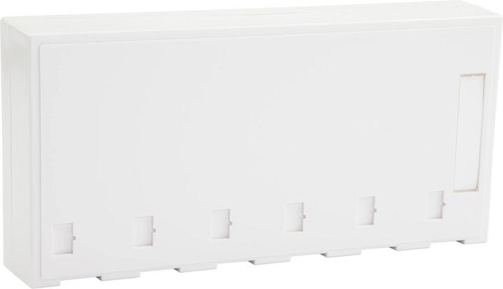 Actual product image Dätwyler Network socket AP junction boxes 6x