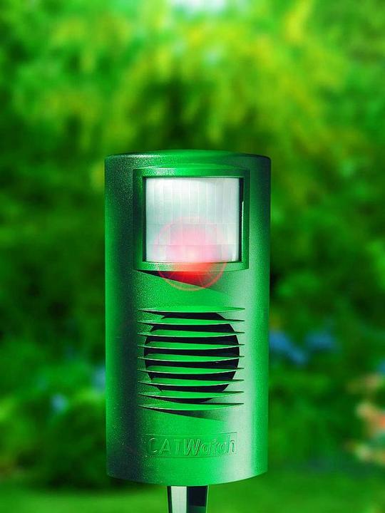 Produktbild Colibri Catwatch