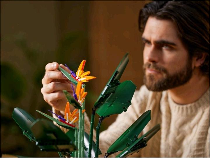 Image du produit LEGO Oiseau de Paradis (10289, LEGO difficiles à trouver)