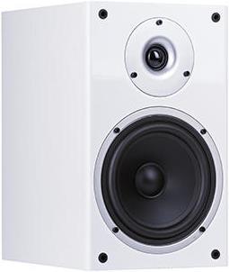 Wilson Raptor 3 (1 Paar)